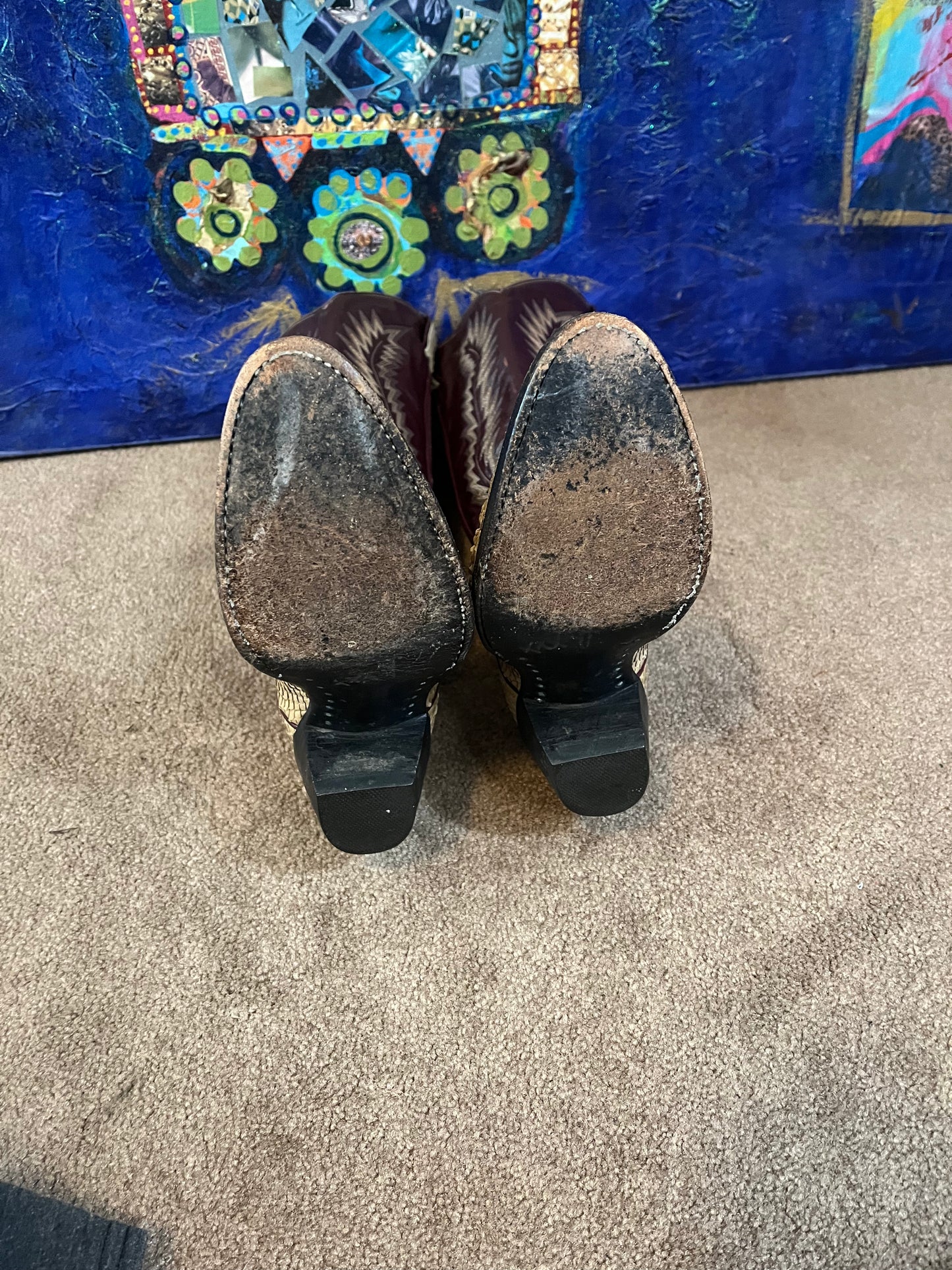 Salvaged Larry Mahan Snake Skin Boots