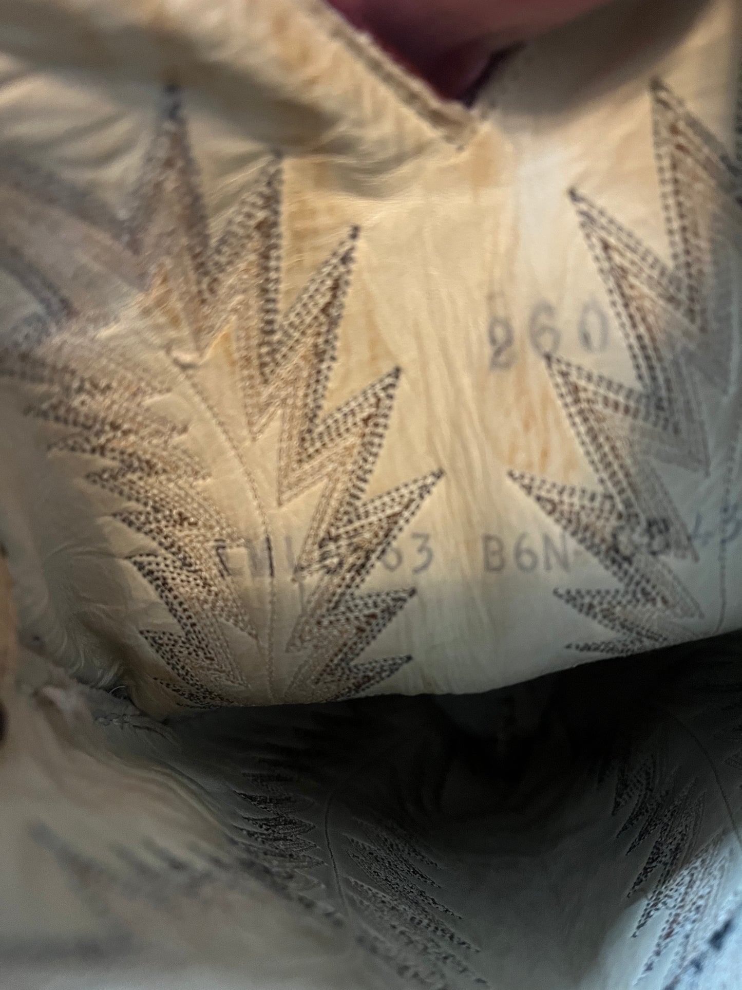 Salvaged Larry Mahan Snake Skin Boots