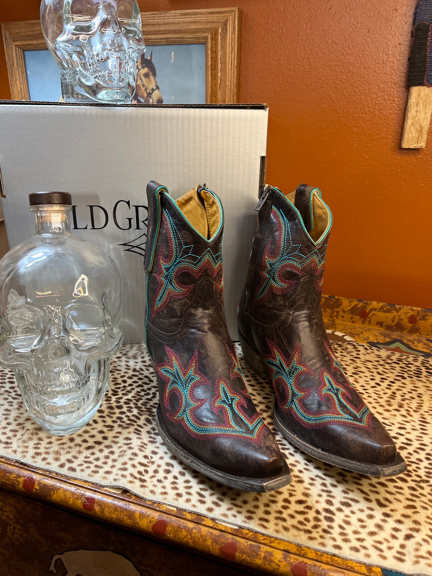 Old Gringo 8 in short