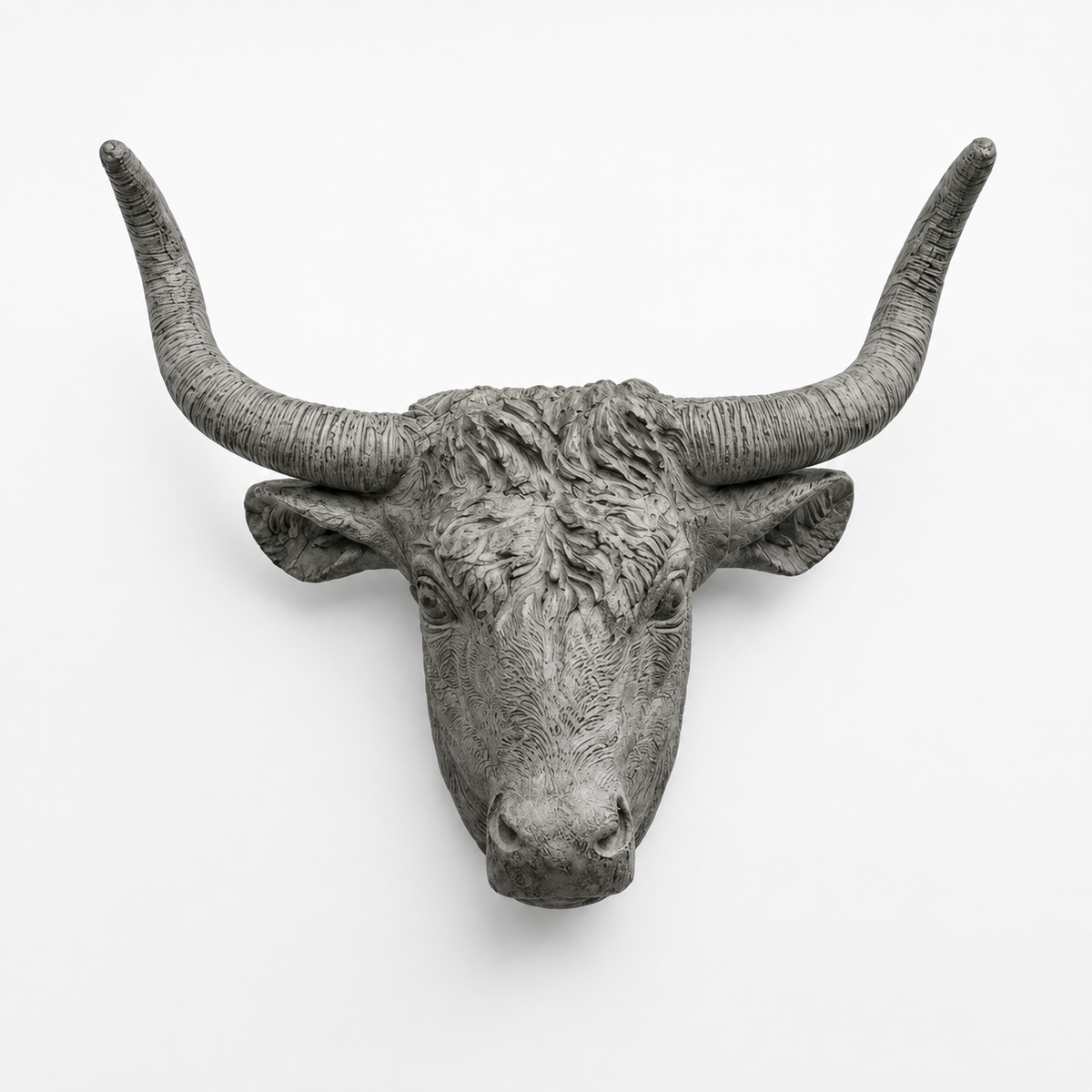 Steer Head