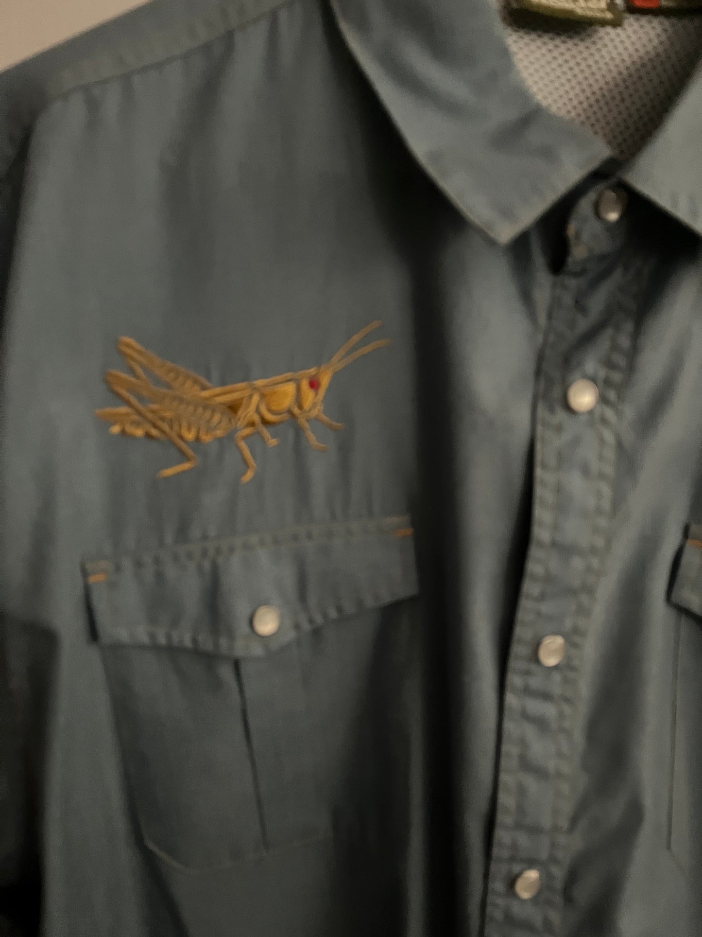 Men’s Howler Bros Grasshopper Pearl snap
